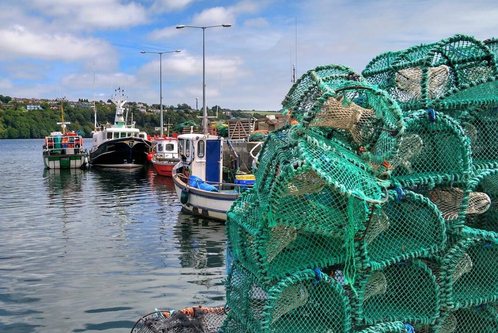 Bateaux de pêche et casiers à homard