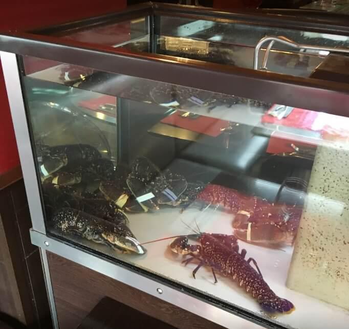 Vivier à homards du restaurant