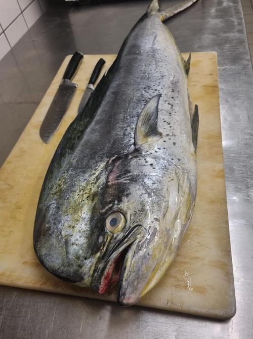 Photo Café Foutu Photo Café Foutu